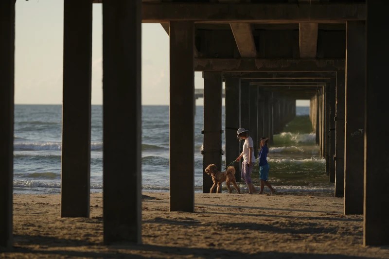 The real heroes of climate change are the childfree; a response to&nbsp;–